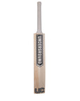 Senior Bats