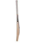 Senior Bats